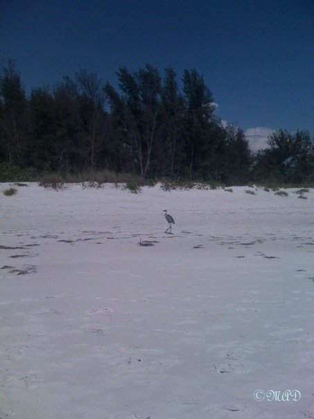 4891_1161983884251_8252834_n