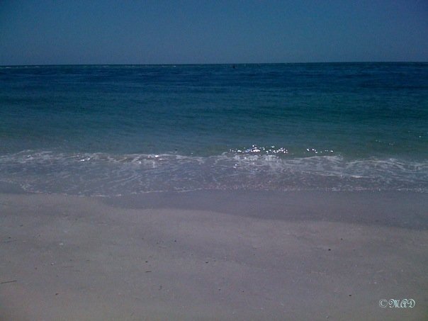 649_1161205344788_1591256_n