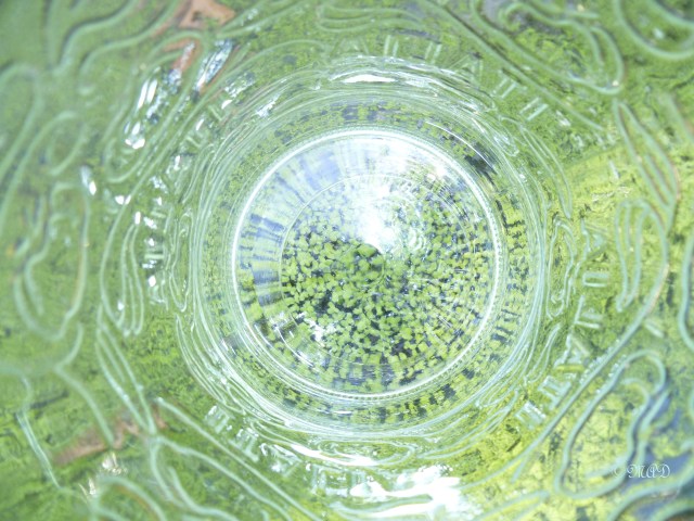 September 14, 2013 Inside Photo Challenge 002-2