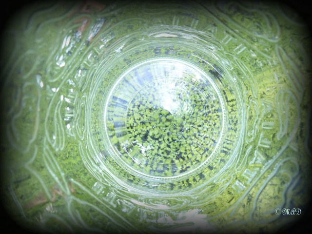 September 14, 2013 Inside Photo Challenge 002