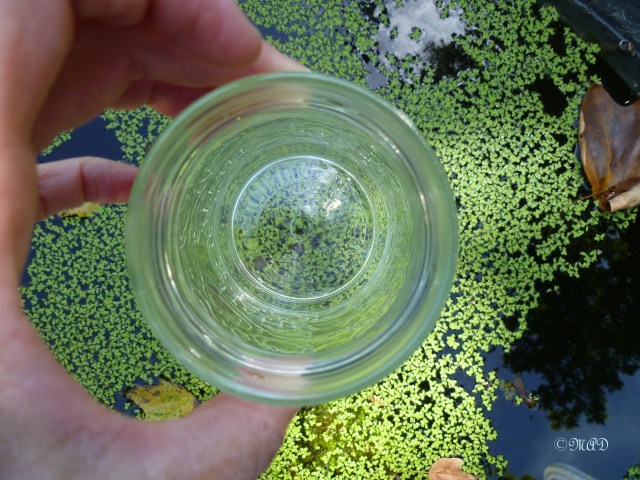 September 14, 2013 Inside Photo Challenge 003