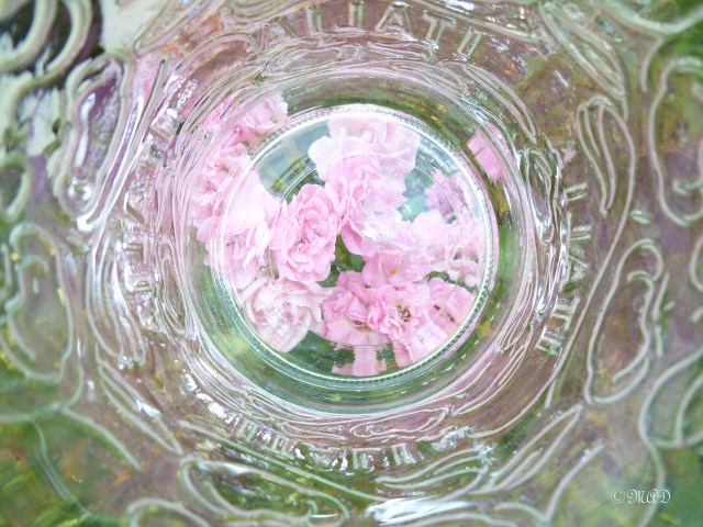 September 14, 2013 Inside Photo Challenge 006-2