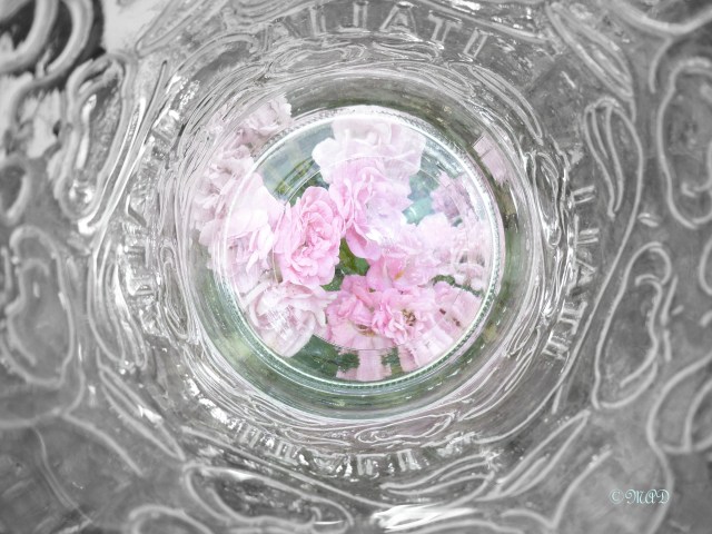 September 14, 2013 Inside Photo Challenge 006