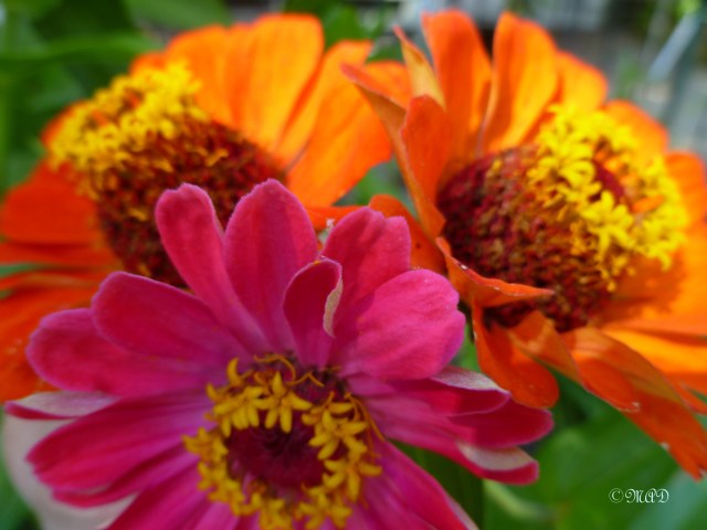 September 28, 2013 003