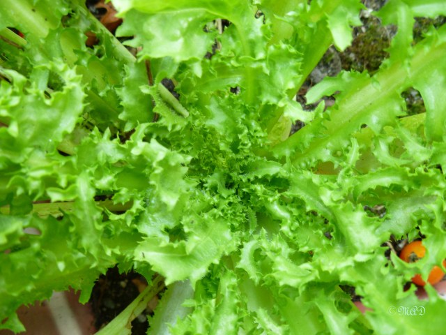 September 28, 2013 009