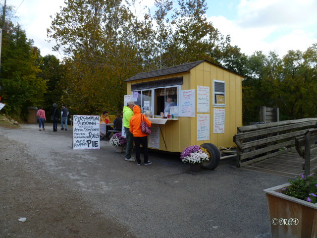 Persimmons - a special Autumn treat in Indiana.
