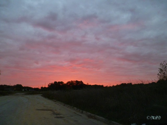 October 26, 2013 Blue and pink skies 003