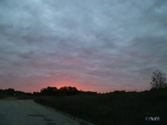 October 26, 2013 Blue and pink skies 005