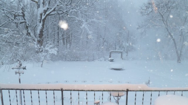 January 5, 2014 Evening Snow 004