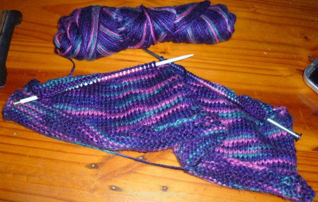 February 5, 2014 003