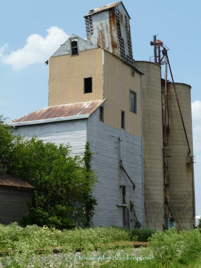 382394_3732151696840_1003288037_n