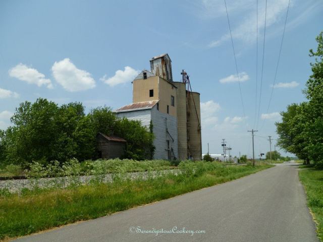 550514_3732151616838_2033153940_n