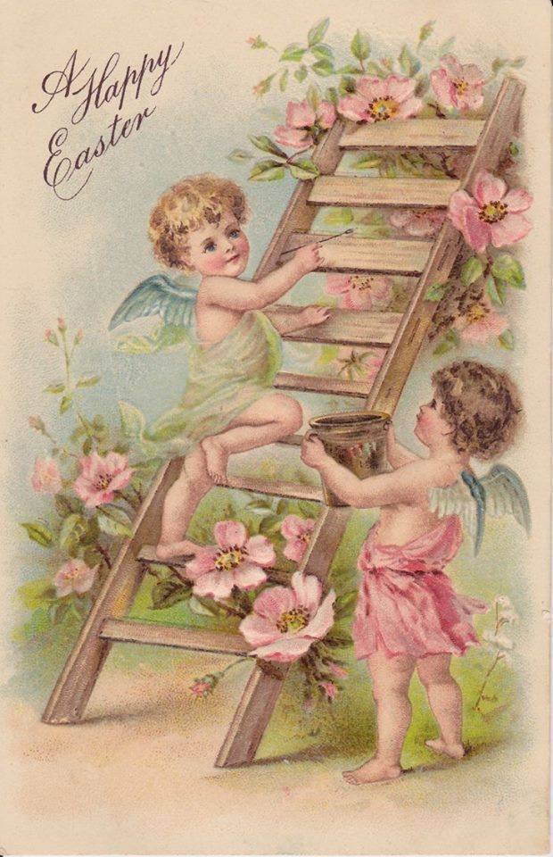 1621678_10202314826366520_421312739_n