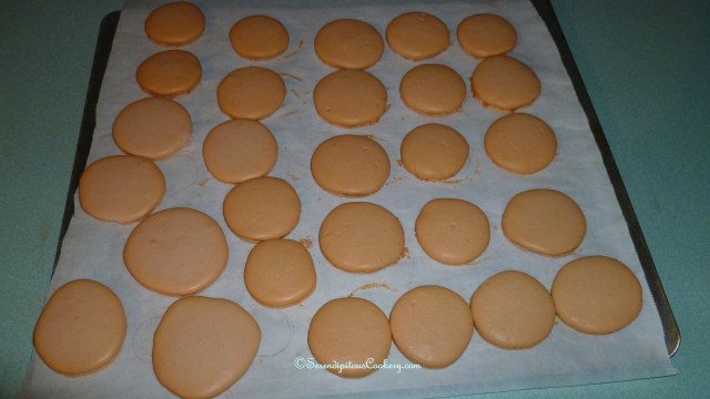 April 15, 2014 Macarons 003