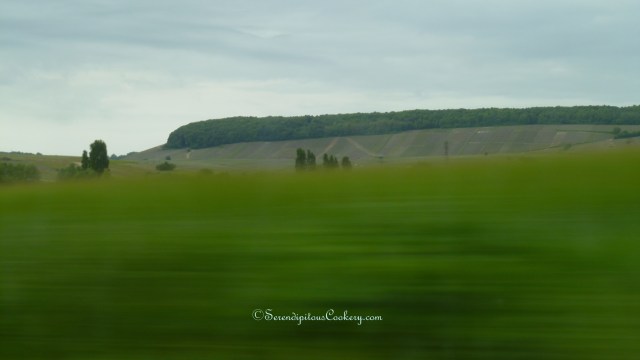 May 2014 Europe Trip 122