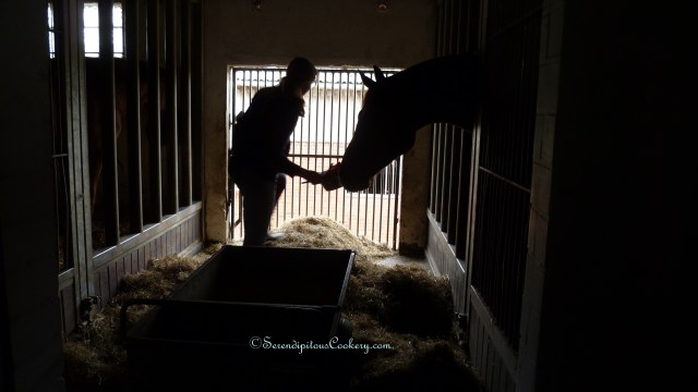 May 2014 Europe Trip 052