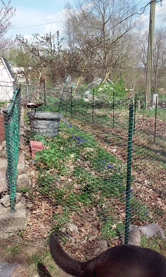 10428644_10205358066045610_6867484992462209521_n