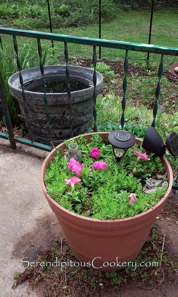 11259044_10205492260760394_6139126161239957209_n