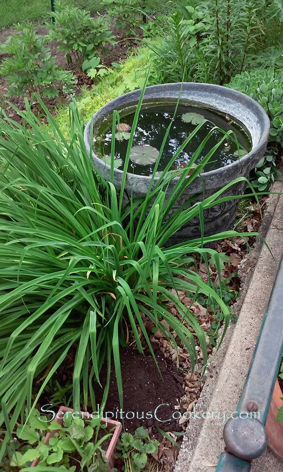 1780857_10205595704546424_190433777145824699_n